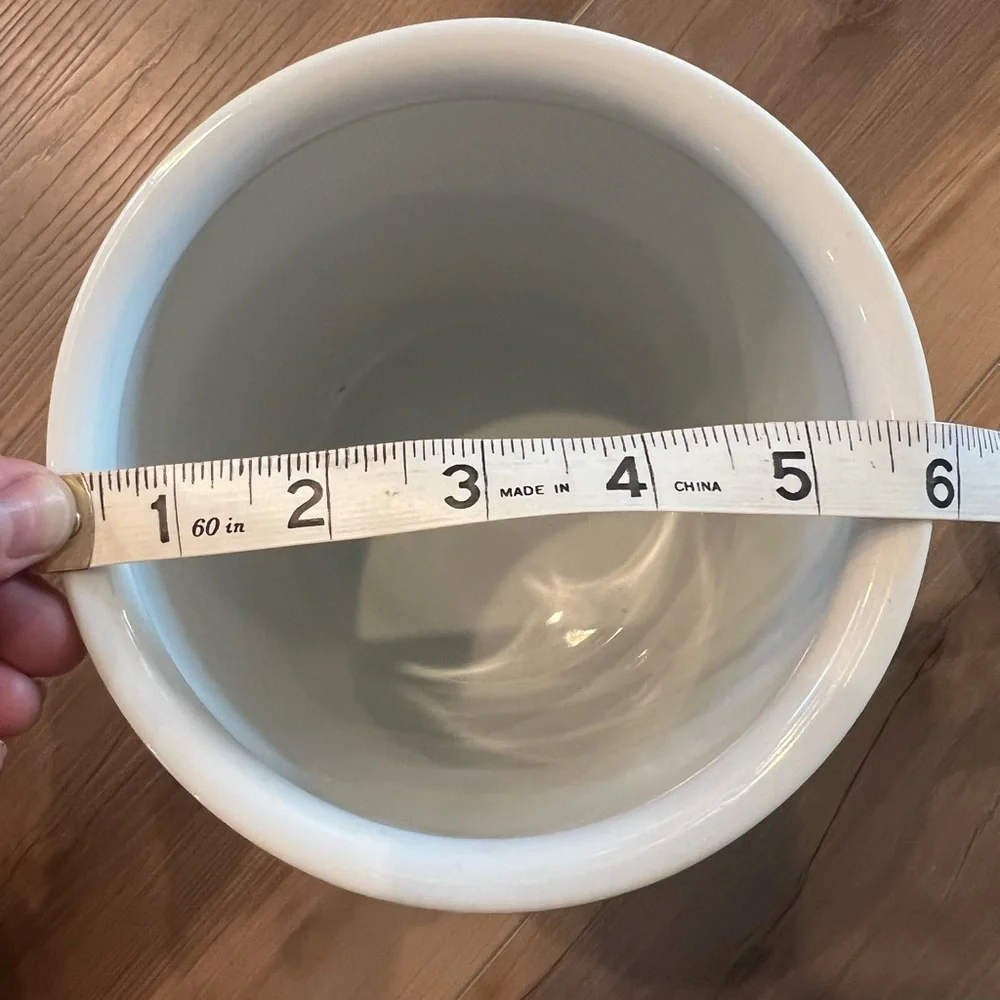 West Elm Collector’s Edition Crock